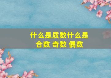 什么是质数什么是合数 奇数 偶数